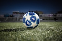 法国国家足球队队徽 - 高卢雄鸡标志